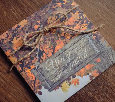 Autumn Woodland