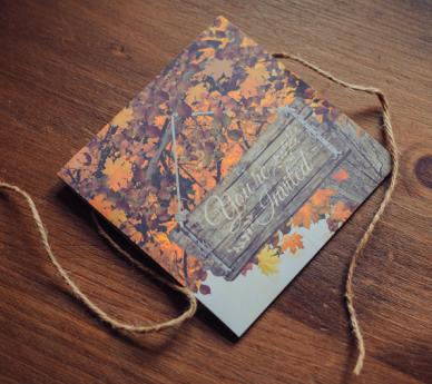 Autumn Woodland